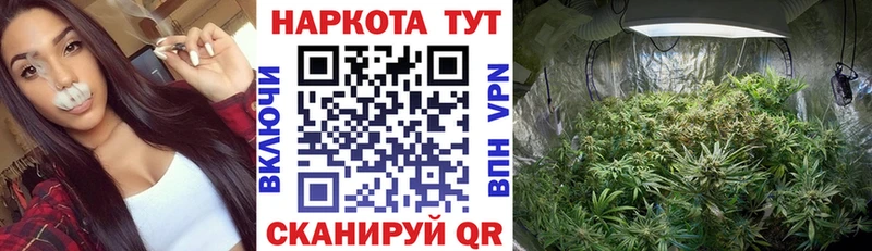 Купить наркотик аптеки Вязники ГАШ  АМФЕТАМИН  ГЕРОИН  Меф  Галлюциногенные грибы  Конопля  Cocaine 