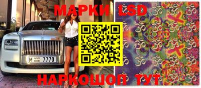 ПСИЛОЦИБИНОВЫЕ ГРИБЫ Будённовск