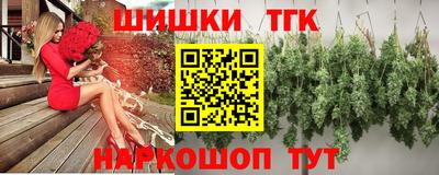 Альфа ПВП Будённовск