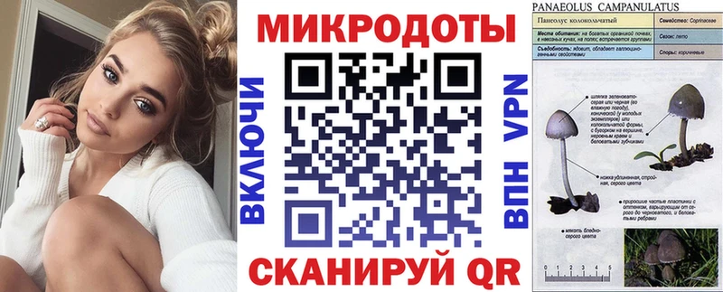Псилоцибиновые грибы прущие грибы  Вязники 