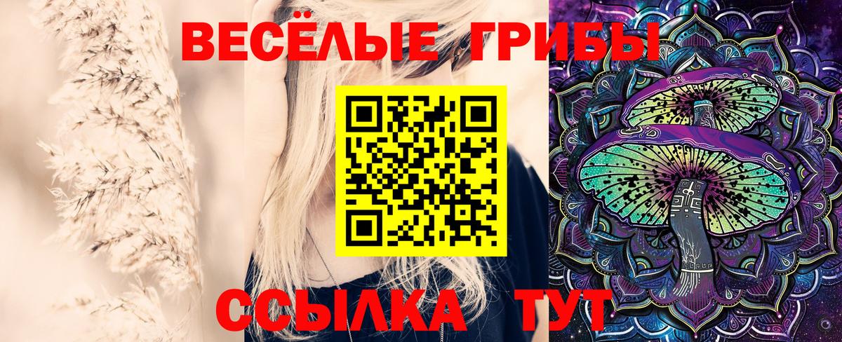 Псилоцибиновые грибы GOLDEN TEACHER  Вязники  Галлюциногенные грибы мухоморы 