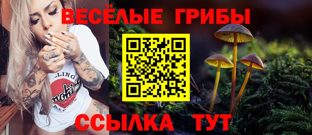 Псилоцибиновые грибы мухоморы Вязники